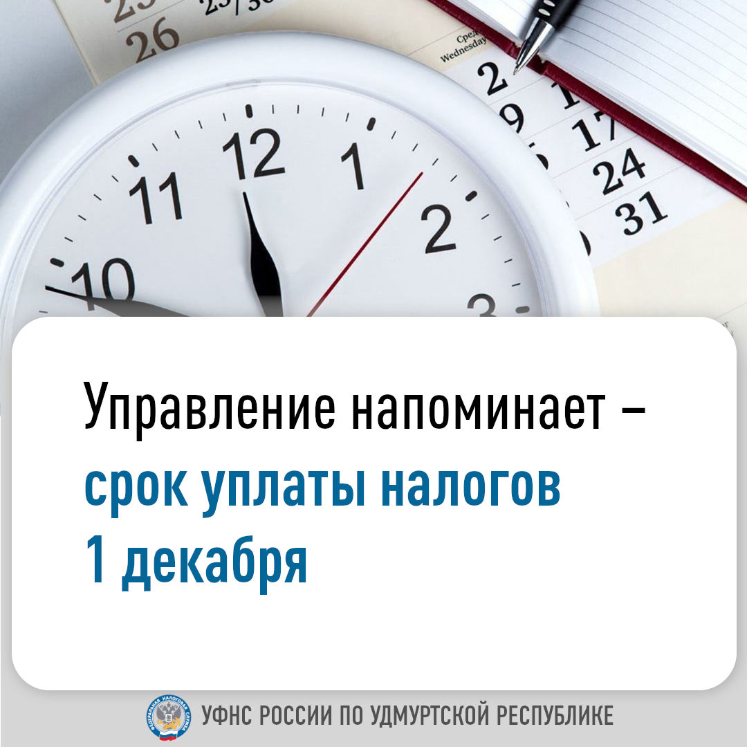 Управление напоминает –  срок уплаты налогов 1 декабря.
