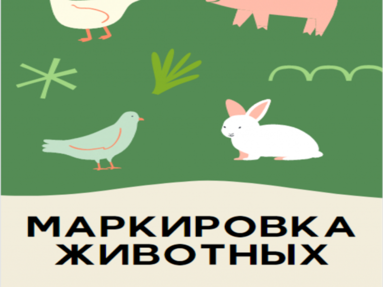Маркирование животных и птиц.