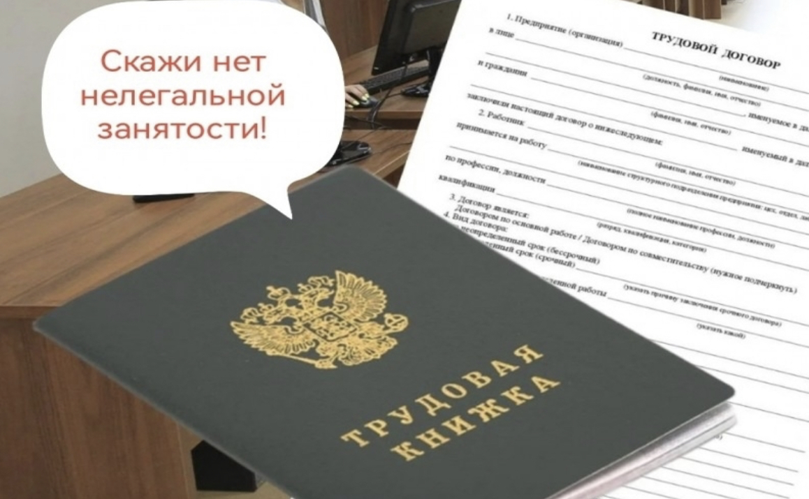 Борьба с нелегальной занятостью.