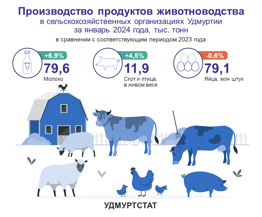 Производство продуктов животноводства за январь 2024 года.