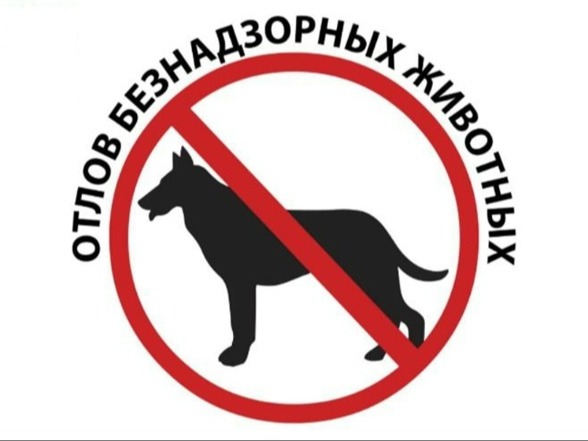 Отлов безнадзорных животных..