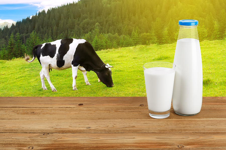 Месячник по безопасности молока и молочной продукции.