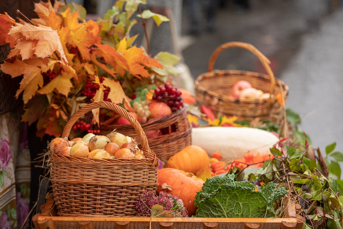 Фестиваль «Ясная золотая осень: фестиваль фермерских продуктов».