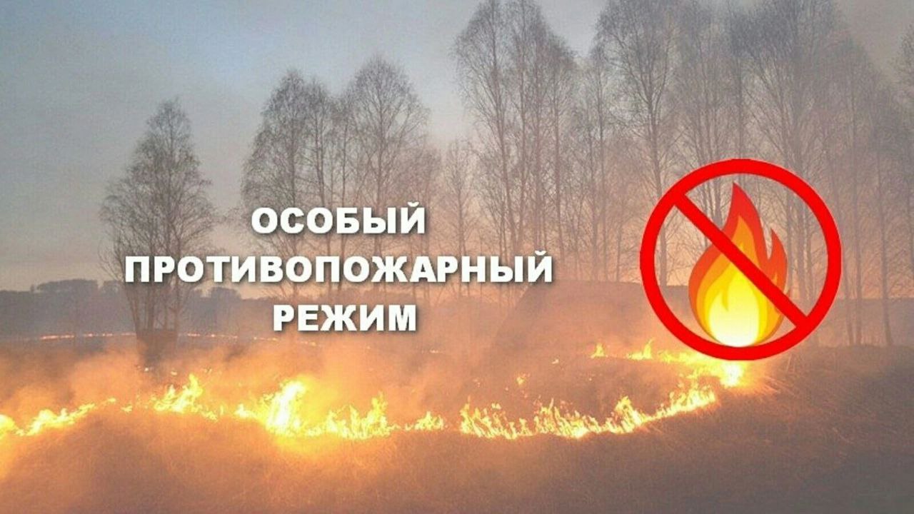 С 10 апреля на территории республики начнет действовать особый противопожарный режим..
